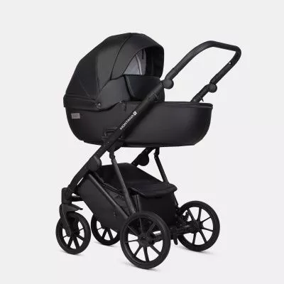 Коляска Riko Basic Montana X Ecco 2 в 1, 12 Black (черный)